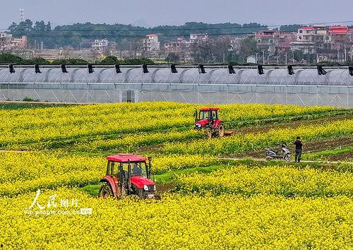 1024国产区,探索国产科技的魅力与未来